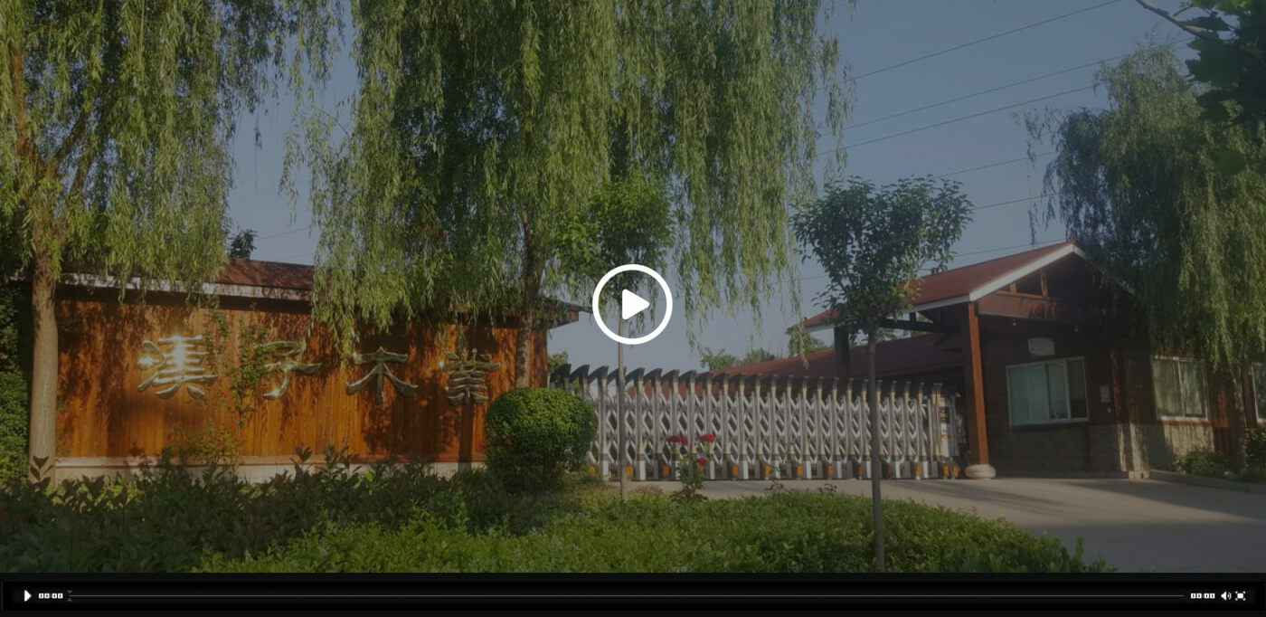 必一体育平台_必一体育（中国）